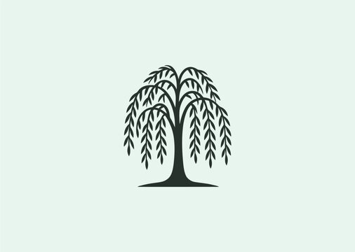 A simple line style logo of a willow tree, representing grace, endurance, and emotional depth