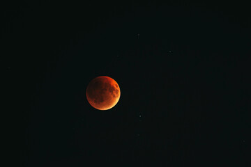 Full Lunar eclipse. Blood moon