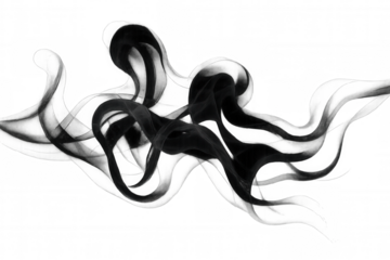 Black smoke or mist cloud shaping abstract wave pattern, creating a dark liquid or ink effect texture on transparent background