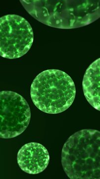 Virus Spores Mutation