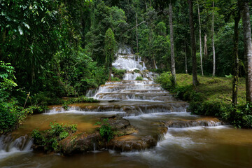 waterfall in green forest