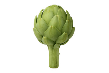 Fototapeta premium Fresh green vegetable artichoke bud with stem
