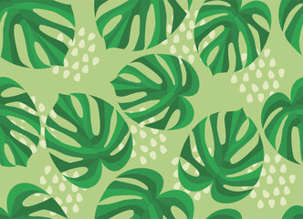 Seamless Tropical Monstera Leaf Pattern on Green Background, Botanical pattern, vector art