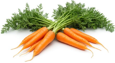 Fresh orange carrots with green leaves on a white background
