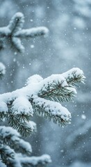Snow-Kissed Pine: A close-up shot showcases the serene beauty of a pine branch blanketed in a gentle layer of fresh snow, capturing the essence of winter's tranquility.