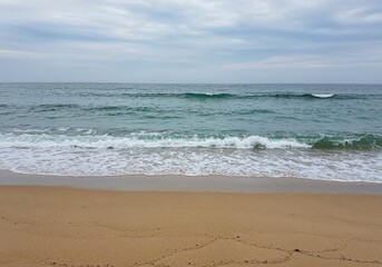 Serene Seaside Panorama: A captivating seascape, where the vast ocean merges with the sandy shore, offering a tranquil embrace under a gentle, cloudy sky.