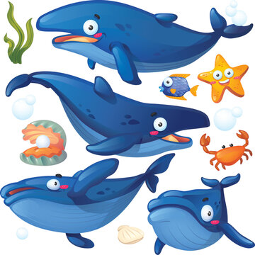 Isolated Cute Whale Cartoon Collection