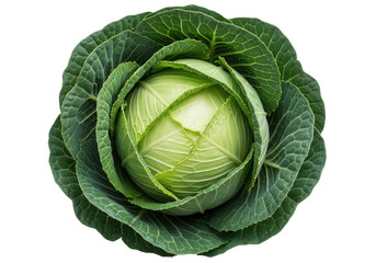 Green cabbage head isolated on a transparent background