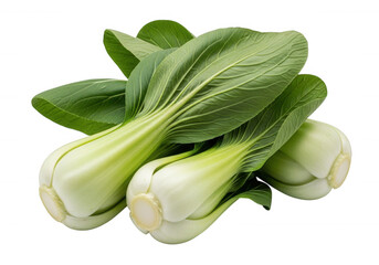Fresh green bok choy isolated on a transparent background