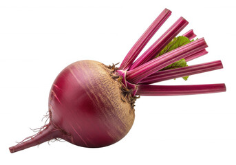 Deep red root vegetable with vibrant stems isolated on a transparent background