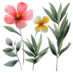 Watercolor floral arrangement with vibrant blossoms and green foliage on transparent background