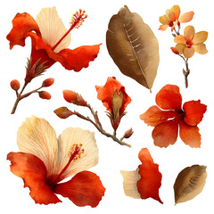 Watercolor floral illustration with vibrant flowers and leaves transparent background for design elements