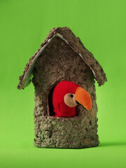 A cute red parrot finger puppet peeks out from a small, rustic-style house made from pulp material...
