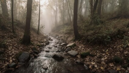 Obraz premium A misty forest scene, with a small stream winding through fallen leaves and trees