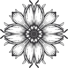 black and white flower