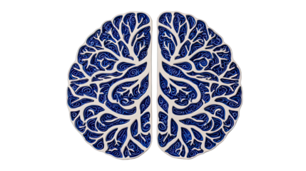 Artistic brain illustration with intricate blue pattern on transparent background