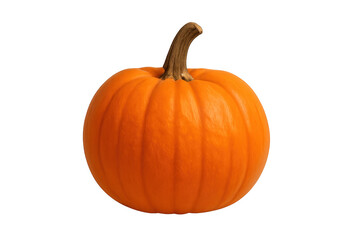Obraz premium Orange pumpkin preparing for halloween and autumn holidays