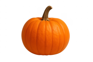 Orange pumpkin preparing for halloween and autumn holidays