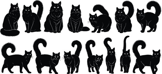 Black cat silhouettes, cartoon style, fluffy tails, expressive poses, sitting, walking, crouching, standing, stylized vector, animal clipart, pet illustration