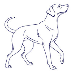 Elegant dog line art silhouette walking with head up