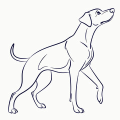 Elegant line drawing of a dog in profile