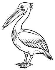 Black and white pelican illustration