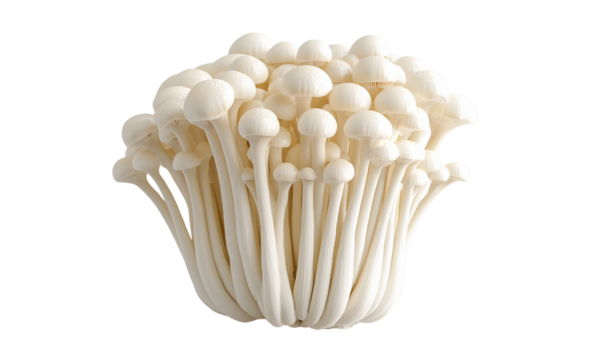 A tight cluster of white enoki mushrooms with long slender stems and small rounded caps.
