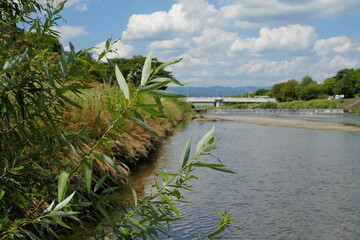 川辺から見える風景