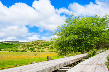 八島ヶ原湿原　八島湿原
