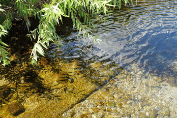 川面に映る光と影