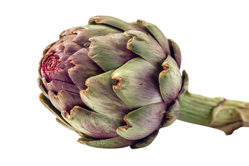 Obraz premium Photograph of an artichoke on a transparent background