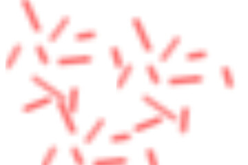 Abstract pattern of red lines on transparent background