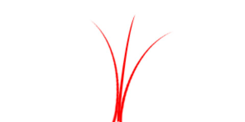 Three red abstract lines isolated on transparent background
