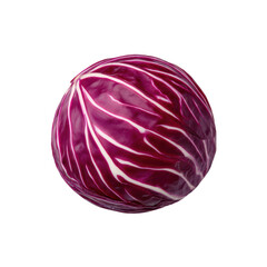 Fototapeta premium Fresh whole red cabbage head with vibrant purple leaves and white veins