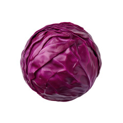 Obraz premium Fresh and healthy whole red cabbage head, rich in nutrients and flavor