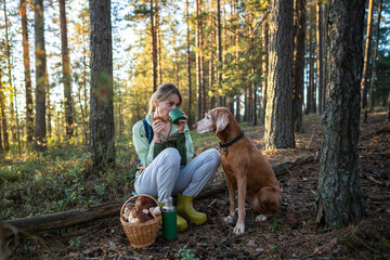 Female hiker taking break in woodland drinking thermos tea with devoted dog by her side. Woman bonding with Vizsla in nature, trusted companion on hiking trip, canine loyalty, sunset in autumn woods