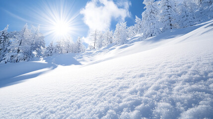 Obraz premium winter landscape with snow. ski slope with sunlight 