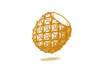 Pineapple hand drawn simple engraved vector illustration