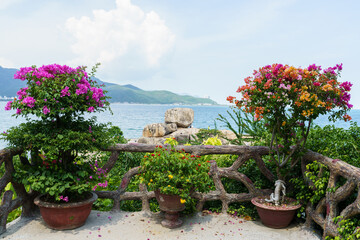 korea, 여행, 가을, 꽃, 가을정취, 남한강