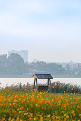 korea, 여행, 가을, 꽃, 가을정취, 남한강