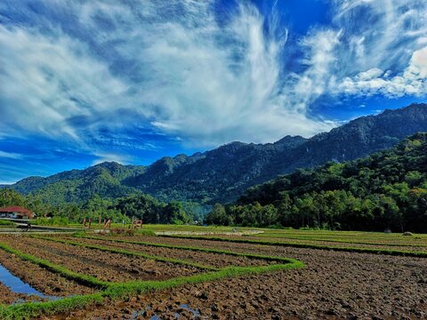 Rice Fields in Kamang, Agam, West Sumatra &ndash; Lush Green Terraces with Bukit Barisan Mountains and Dramatic Sky.