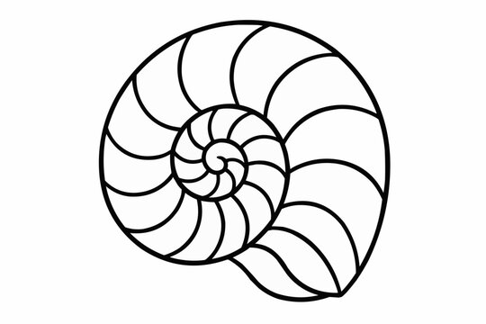 Coloring book for kids - Spiral nautilus shell outline in minimalist black design  
