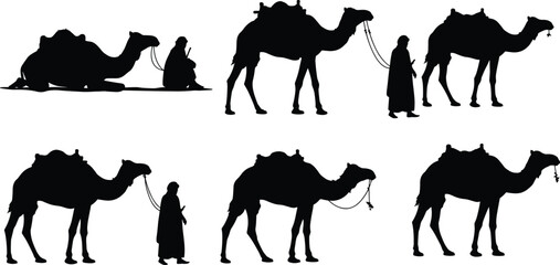 Camel silhouette, desert travel, nomadic lifestyle, people with camels, caravan journey, traditional culture, animal transport, adventure tourism, wilderness exploration, silhouette art