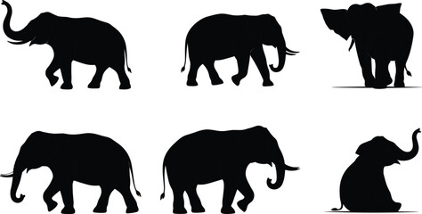 Elephant silhouette collection, wildlife animal shapes, walking elephants, standing elephant, sitting elephant, African safari art, black vector illustration design