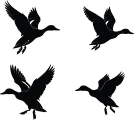 Flying duck silhouettes, black bird shapes, wildlife in motion, migratory waterfowl, animal flight pattern, nature illustration, isolated white background