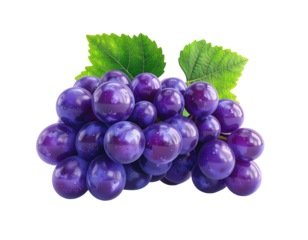 A cluster of ripe, deep purple grapes with green leaves, isolated