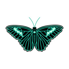 butterfly illustration for design decoration