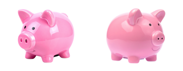 Set of Classic Pink Piggy Bank with Coin Slot