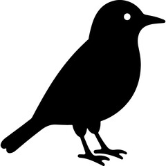 Songbird blackbird on thin legs with a long tail beak. Engraving minimalistic vector in black ink drawing on transparent background