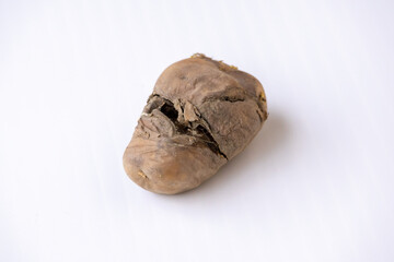 Close-up of a diseased and rotting potato isolated on a white background. Concept of food waste,...